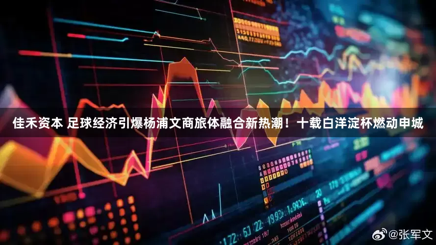 佳禾资本 足球经济引爆杨浦文商旅体融合新热潮！十载白洋淀杯燃动申城