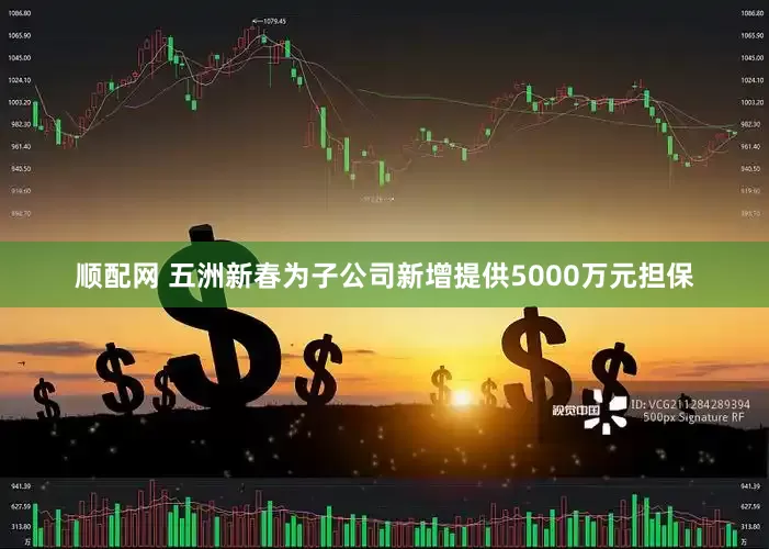 顺配网 五洲新春为子公司新增提供5000万元担保