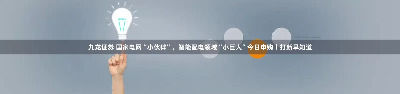 九龙证券 国家电网“小伙伴”，智能配电领域“小巨人”今日申购丨打新早知道