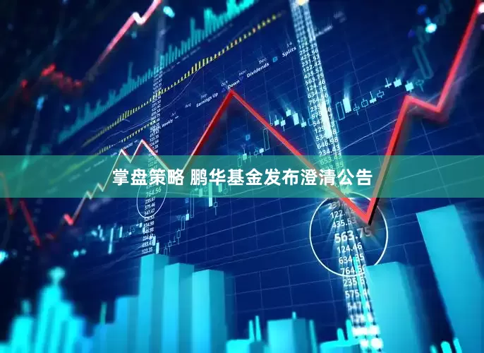 掌盘策略 鹏华基金发布澄清公告