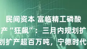 民间资本 富临精工磷酸铁锂百亿扩产“狂飙”：三月内规划扩产超百万吨，宁德时代谋“控盘”