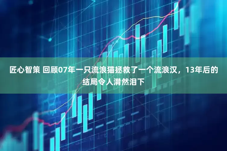 匠心智策 回顾07年一只流浪猫拯救了一个流浪汉，13年后的结局令人潸然泪下