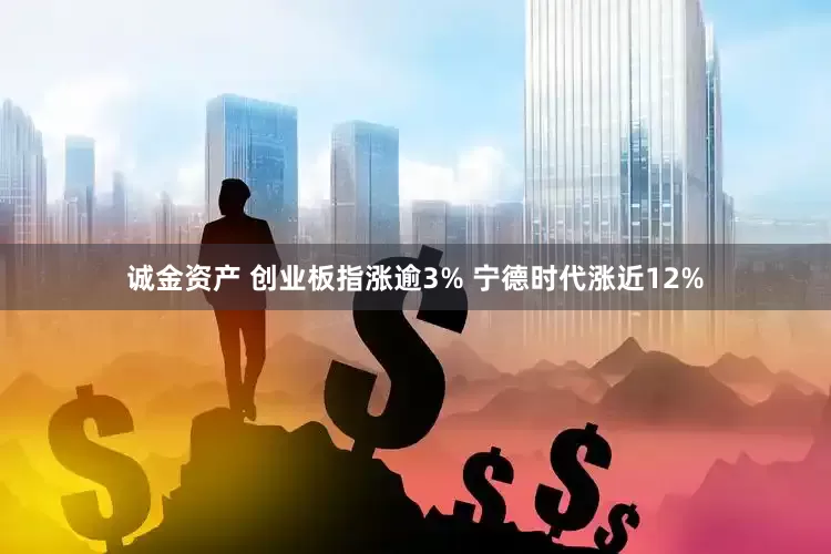 诚金资产 创业板指涨逾3% 宁德时代涨近12%
